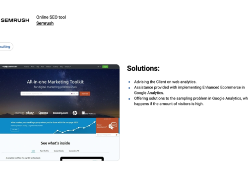 BI & Big Data Consulting & SI Package Example: Web Analytics Consulting for SEMRUSH