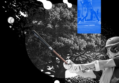 E-Commerce Development Package Example: E-Commerce — Bats Manufacturer — Mine Baseball