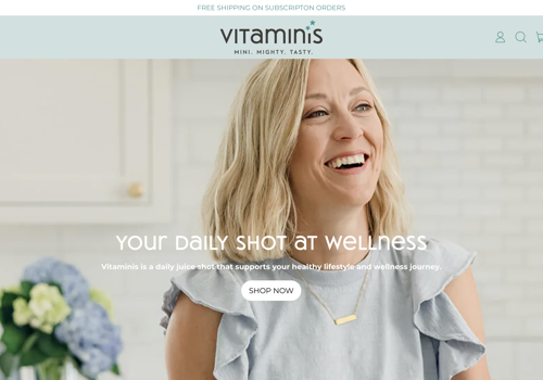 Web Design Package Example: Vitaminis