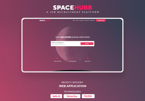 Custom Software Development Package Example: A Job Recruitment Platform