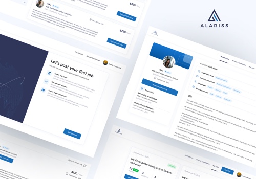 Web Development Package Example: Alariss