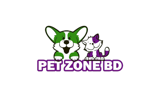 Search Engine Optimization Package Example: On Page SEO