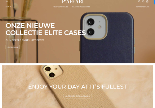 Web Development Package Example: Paffari a leading e-commerce company