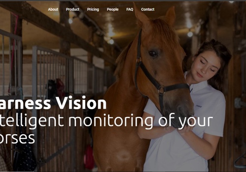 Search Engine Optimization Package Example: Harness Vision