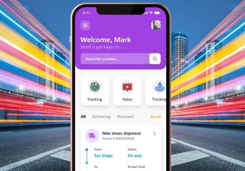 Web Development Package Example: Locus Logistics