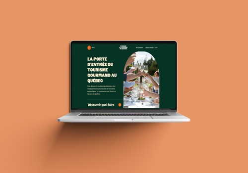 Custom Software Development Package Example: Website Development