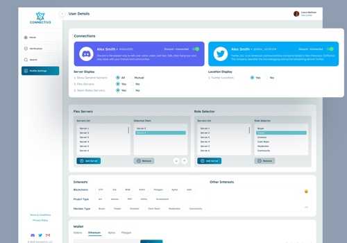 Branding Package Example: Connectiv Dashboard Design