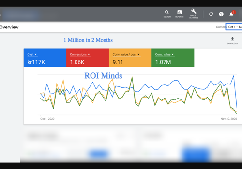 Pay Per Click Package Example: 1 Million in 2 Months For Cosmetic Brand
