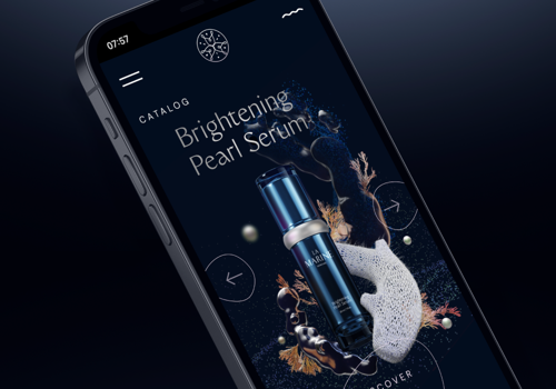 Web Design Package Example: LaMarine — Website