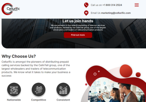 Search Engine Optimization Package Example: Trader and Reseller Website