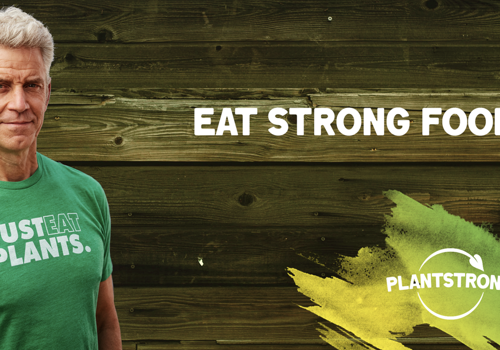 Branding Package Example: PLANTSTRONG
