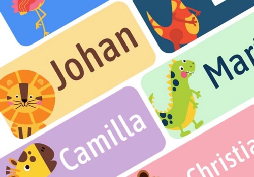 Web Development Package Example: Smartlapper