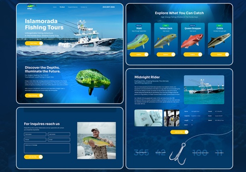Web Design Package Example: Wordpress Website Design and Development