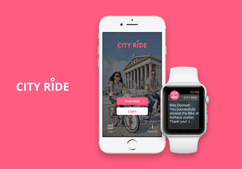 UX/UI Design Package Example: Future of bike sharing