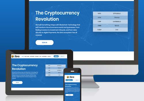 Web Development Package Example: Web Development and SEO for Libra EcoSystem