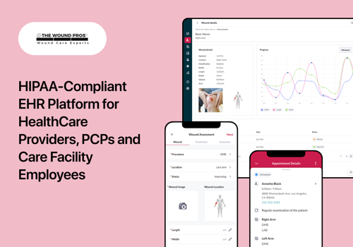 Custom Software Development Package Example: Secure EHR platform for wound care management
