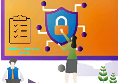 Cybersecurity Package Example: Website Pentration Testing