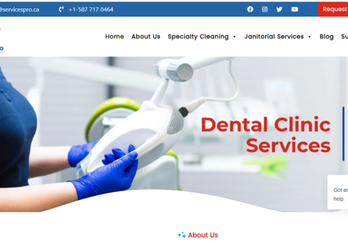 Custom Software Development Package Example: Cleaning Service Management System