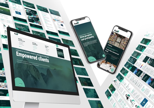 Branding Package Example: US Software company Rebranding