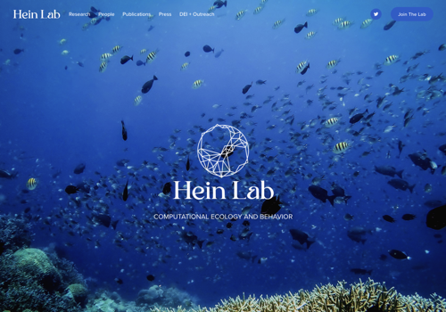 Branding Package Example: Web Design for University Lab