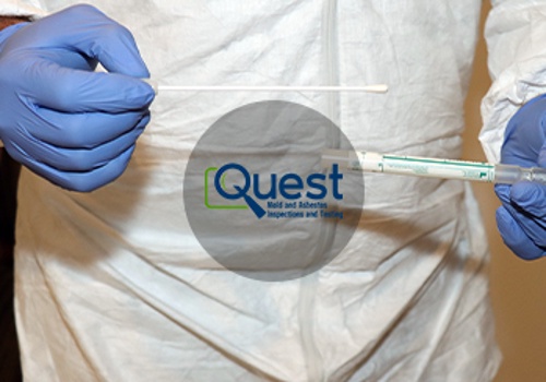 Digital Strategy Package Example: Complete Digital Business Solution