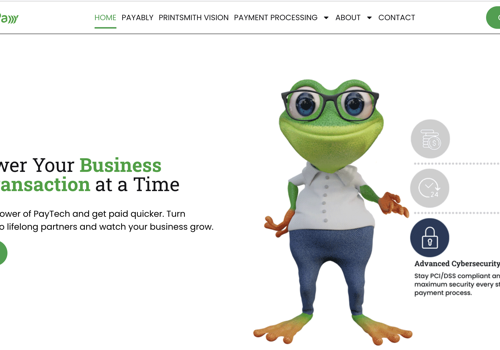 IT Staff Augmentation Package Example: Web & Mobile Development Payment Platform