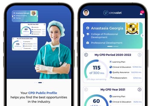 UX/UI Design Package Example: CPD Valet