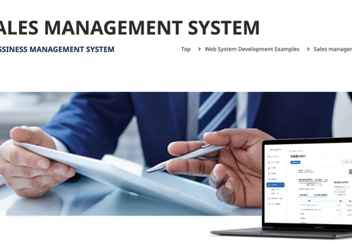 Sales Outsourcing Package Example: Sales management system