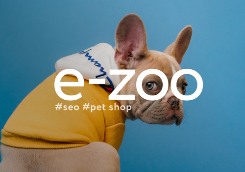 Pay Per Click Package Example: Website Promotion | E-zoo