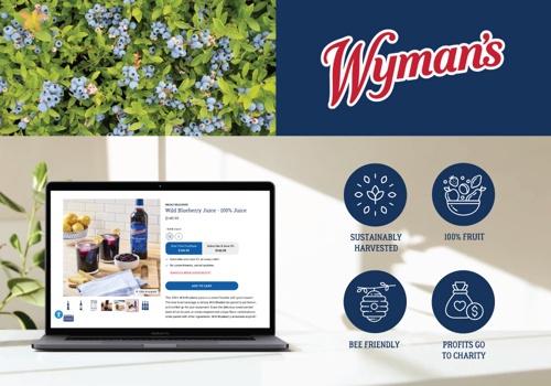 Ecommerce Marketing Package Example: New Growth For A Legacy Berry Company