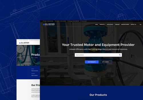 Web Design Package Example: AMED-US