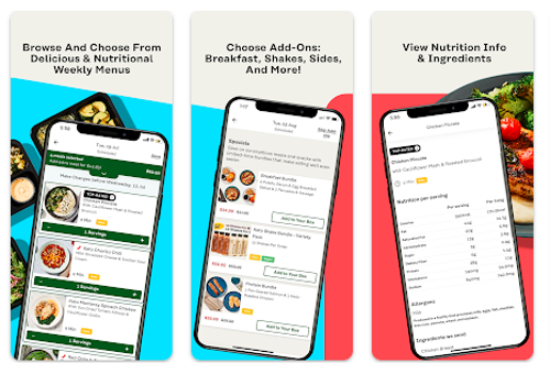 Web Development Package Example: Prepared Meal Delivery website/iphone and android