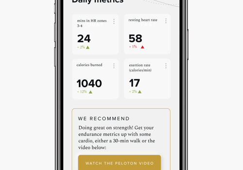 Mobile App Development Package Example: Point
