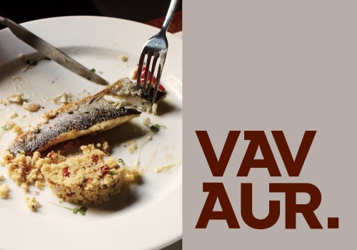 Branding Package Example: Visual Identity for Vavaur