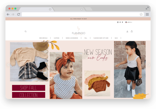Custom Software Development Package Example: Flamingo - A Baby Boutique