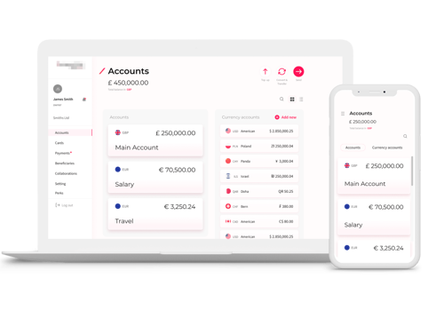Custom Software Development Package Example: Regent FE: Business IBANs and accounts and more