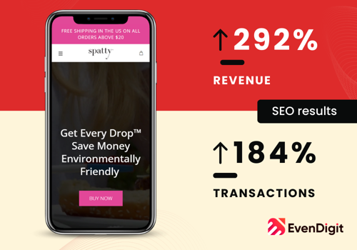 Search Engine Optimization Package Example: Increased Revenue by 291% & Transactions by 184%