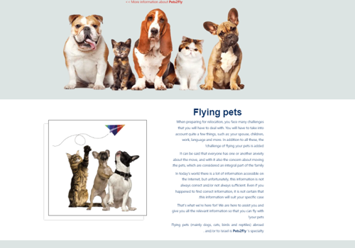 Web Design Package Example: Pets2Fly