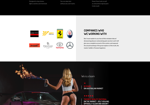 Web Development Package Example: Landing Page for PROvinyl Sydney - Paint Protection Film