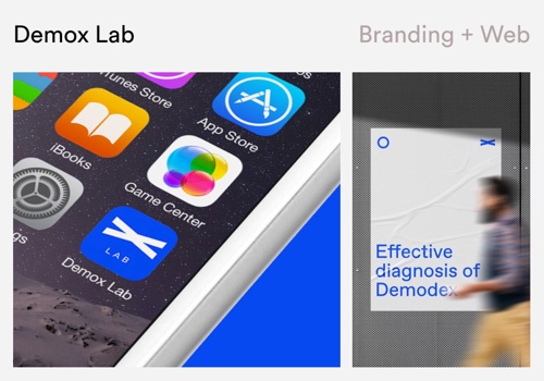 Web Design Package Example: DEMOX LAB