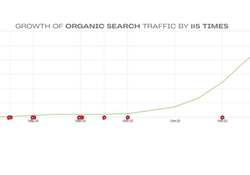 Search Engine Optimization Package Example: From 0k to 10k Organic Traffic Growth in 11 month
