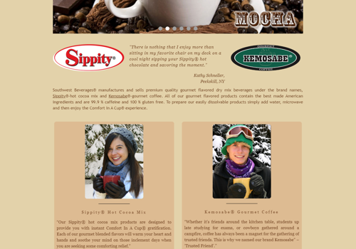 Web Design Package Example: WooCommerce based Website