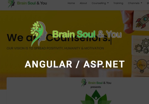 Web Development Package Example: Brain Soul & You