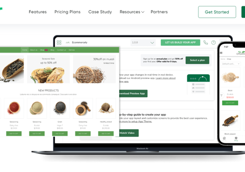 Web Design Package Example: Twinr Website Design and Wordpress Development