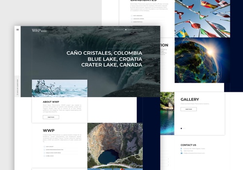 Web Design Package Example: World Water Phenomenon