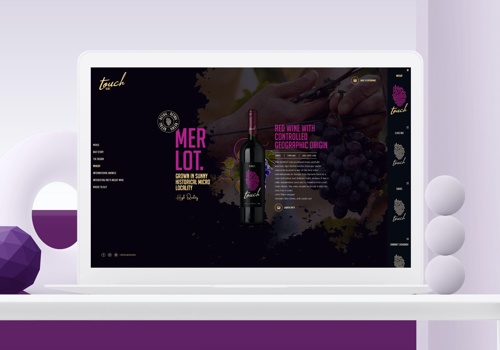 Web Design Package Example: Touch Wine, Web Design and Development