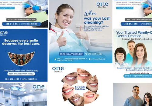 Search Engine Optimization Package Example: One Dental