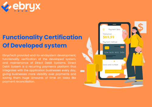 IT Staff Augmentation Package Example: Functionality Certification Of Developed system
