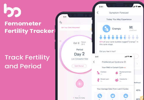 IT Managed Services Package Example: Empower Your Wellness Journey with Femometer
