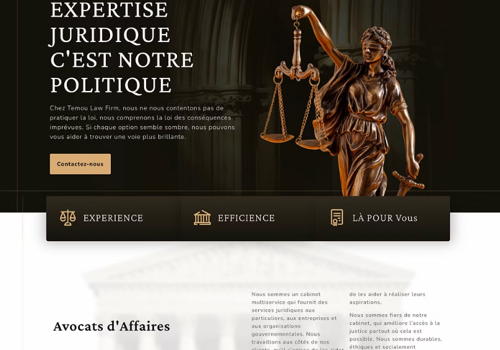 Graphic Design Package Example: Wordpress Website, Strategy, SEO, and Google Ads